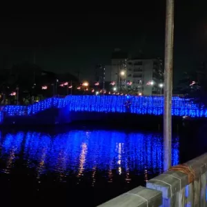 金魚ちょうちん｜江戸川区新川さくら館のサムネイル