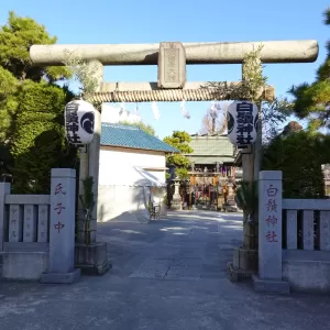 お正月（2025年）のサムネイル